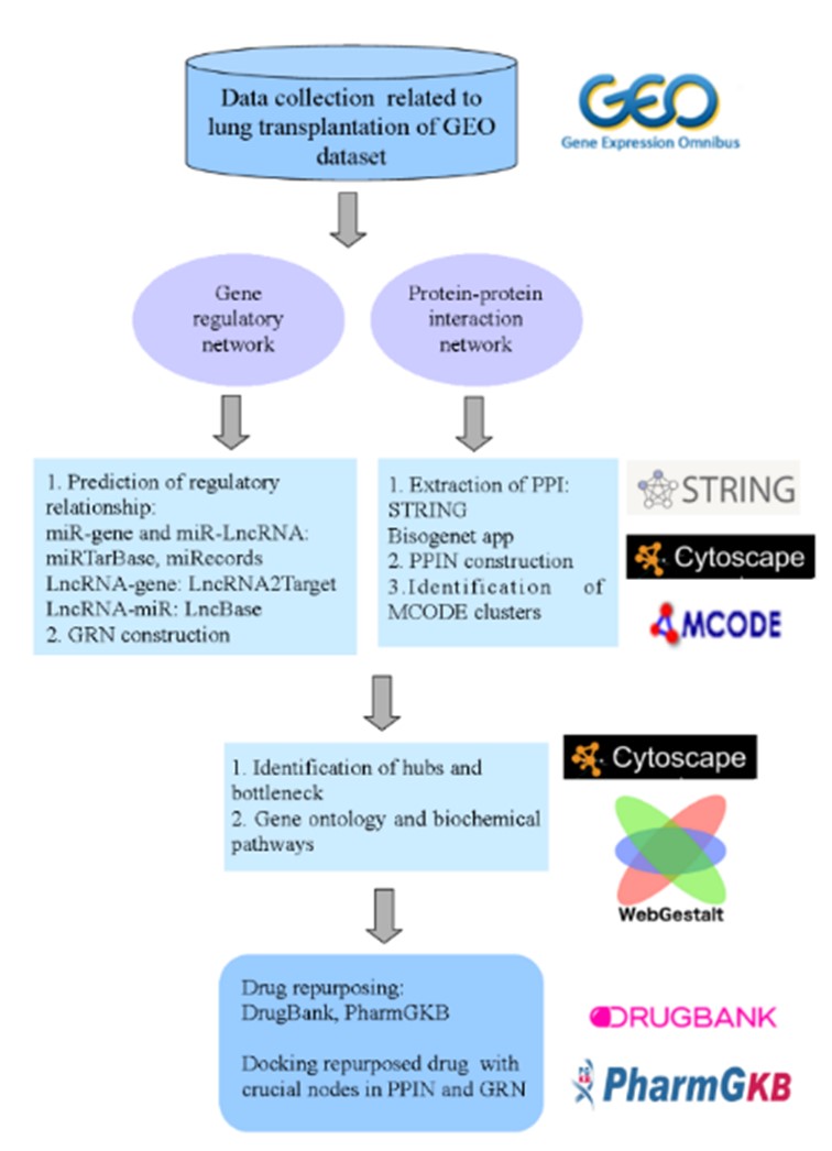 Figure 1. Study workflow