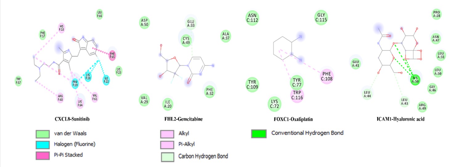 Figure 3. The docking of crucial genes with repurposed new drugs