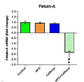 Figure 2. The effect of caffeine consumption and HFD on the expression of the FetA inflammatory marker in liver tissue. 